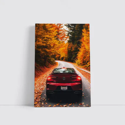 Acura TLX Red Car Autumn Forest Road