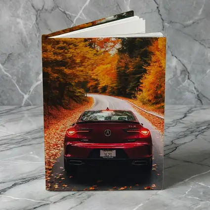 Acura TLX Red Car Autumn Forest Road
