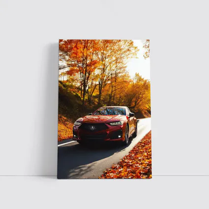 Acura TLX Red Sedan Autumn Forest Road
