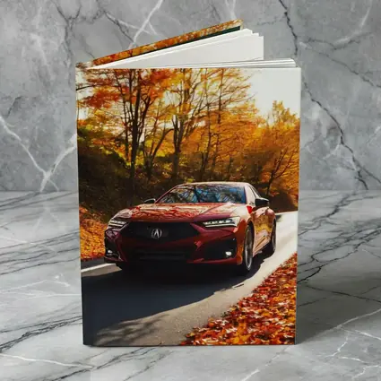 Acura TLX Red Sedan Autumn Forest Road