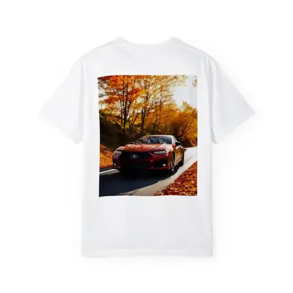 Acura TLX Red Sedan Autumn Forest Road