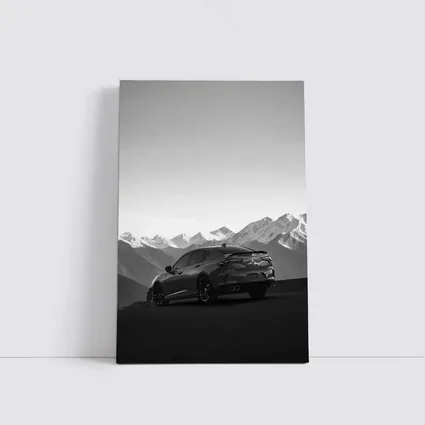 Acura TLX Black White Mountain Range