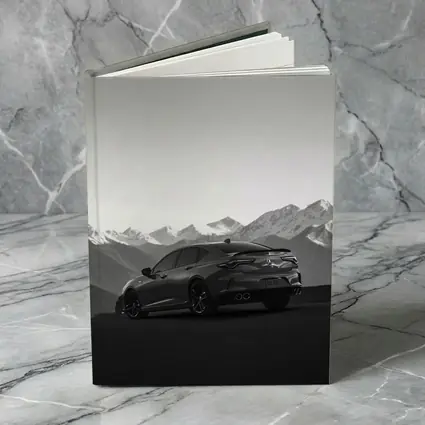 Acura TLX Black White Mountain Range