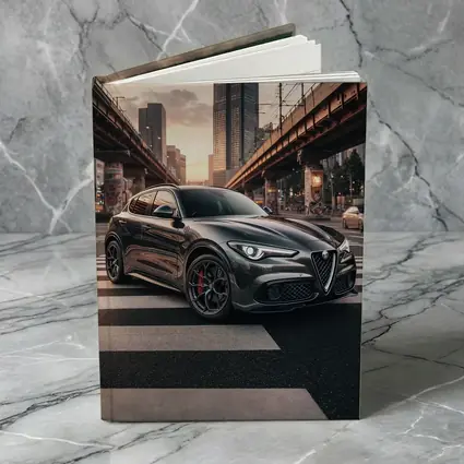 Alfa Romeo Stelvio Dark City Street Scene