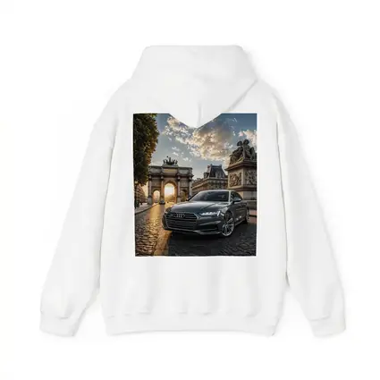 Audi A6 Parked Near Paris Arch