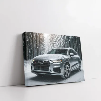 Audi Q7 Silver SUV Snowy Forest