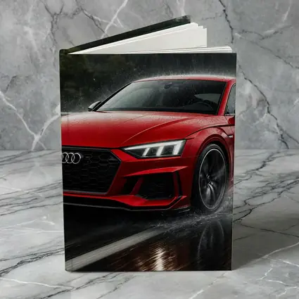 Audi RS5 Red Coupe Driving in Rain