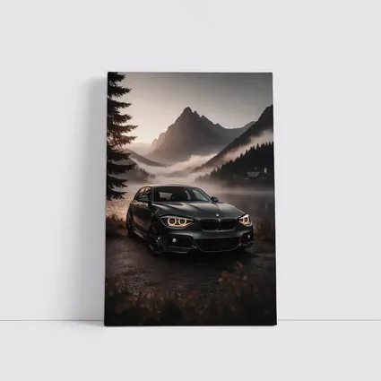 BMW 1 Series Parked by Misty Mountain Lake