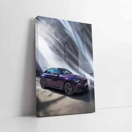 BMW 2 Series Coupe Purple Indoor Light