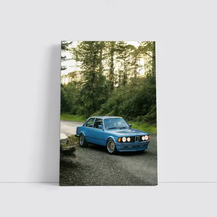 BMW E21 3 Series Blue Forest Road