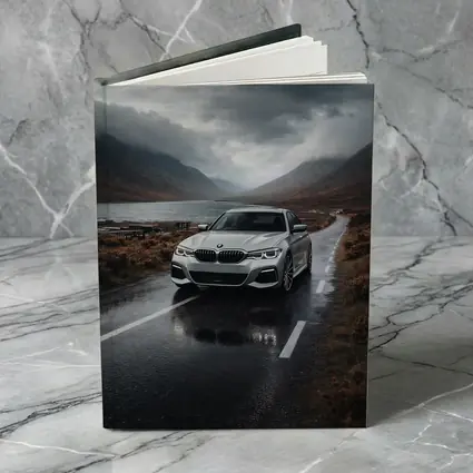 BMW 3 Series on Rainy Mountain Road