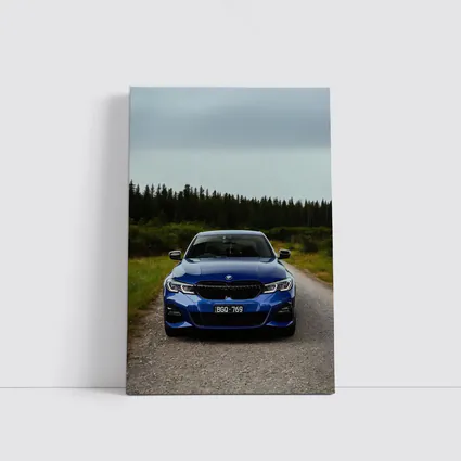 BMW 3 Series Blue Front View Forest Road