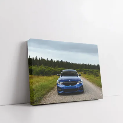 BMW 3 Series Blue Sedan Forest Road