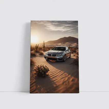 BMW 5 Series Silver Sedan Desert Sunset