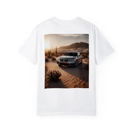 BMW 5 Series Silver Sedan Desert Sunset