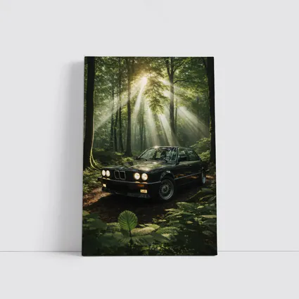 BMW E30 3 Series Black Forest Setting
