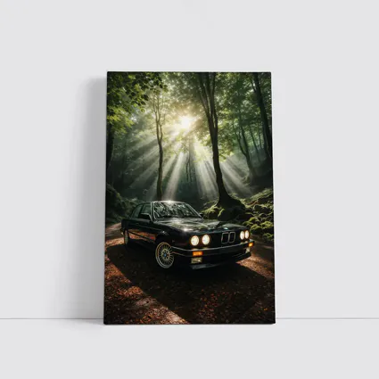 BMW E30 3 Series Forest Light
