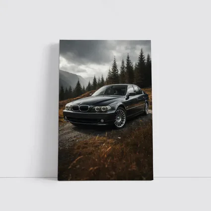 BMW 7 Series Black Sedan Mountain Forest