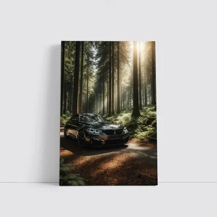 BMW M3 Parked in Sunlit Forest
