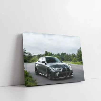BMW M3 Matte Gray Sedan Overcast Forest