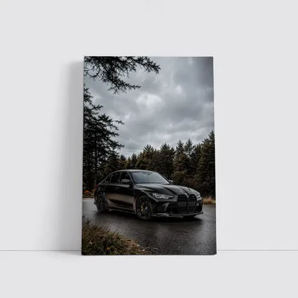 BMW M3 Sedan Matte Black Moody Forest