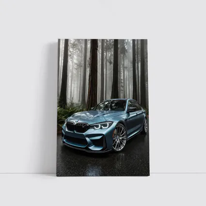 BMW M3 Parked In Misty Forest