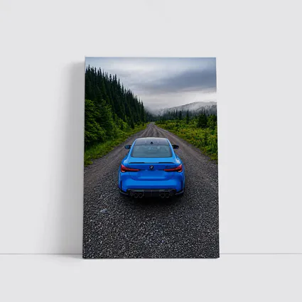 BMW M4 Blue Forest Mountain Road Rear