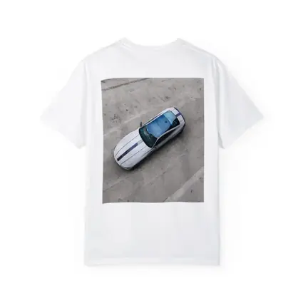 BMW M4 White Racing Stripes Top View