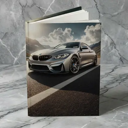 BMW M4 Silver Coupe Mountain Road