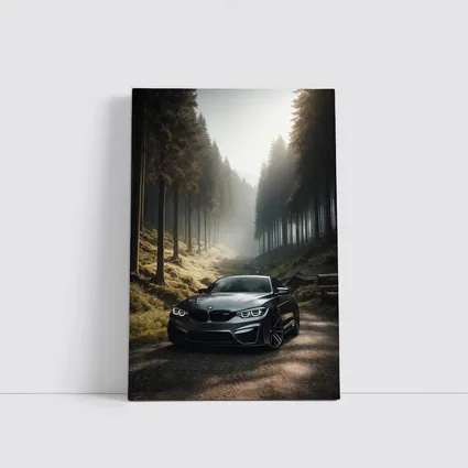 BMW M4 Parked On Misty Forest Road