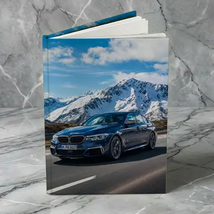BMW M5 Sedan Speeding Through Alpine Mountains