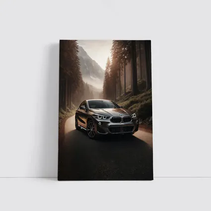 BMW X2 on Misty Mountain Forest Road