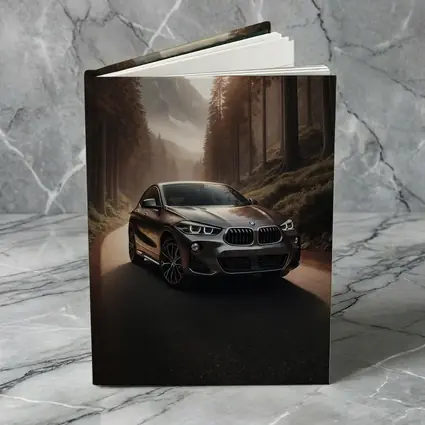 BMW X2 on Misty Mountain Forest Road