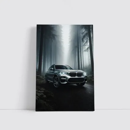 BMW X3 Parked on Misty Forest Road