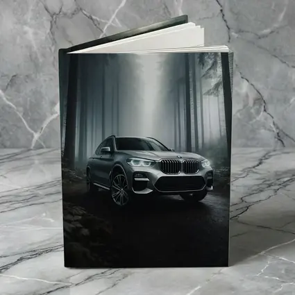 BMW X3 Parked on Misty Forest Road