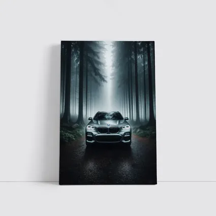 BMW X3 Parked on Misty Forest Road