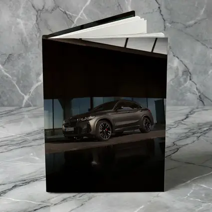 BMW X4 Dark Gray Urban Night Setting