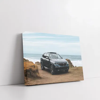 BMW X3 Parked on Coastal Cliff Trail