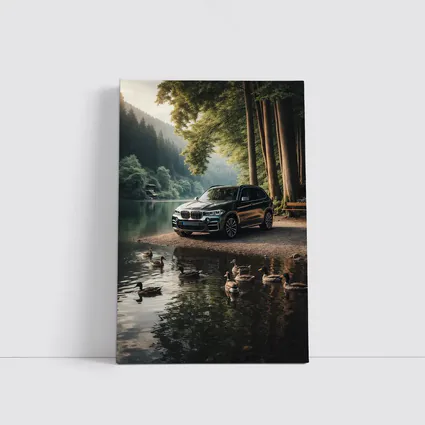 BMW X5 Parked By Forest Lake