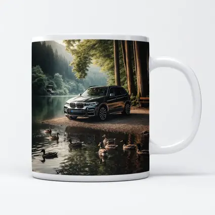 BMW X5 Parked By Forest Lake