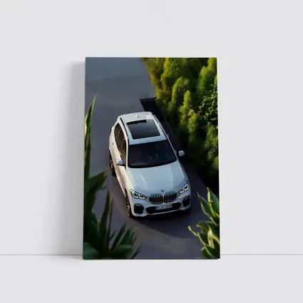 BMW X5 White SUV Green Garden Setting