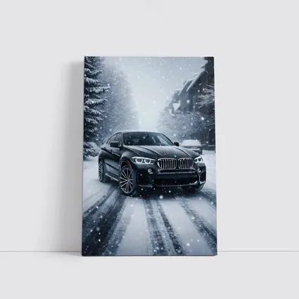 BMW X6 Driving Through Heavy Snowfall