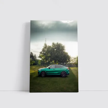 BMW X6M Green Coupe SUV Outdoors