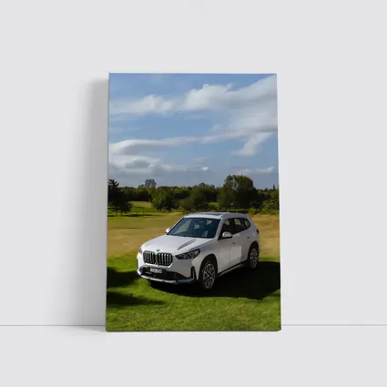 BMW X1 White SUV Green Countryside