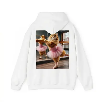 Fluffy Orange Cat Ballet Dancer Studio