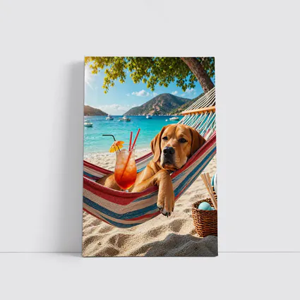 Labrador Relaxing in Beach Hammock with Cocktail