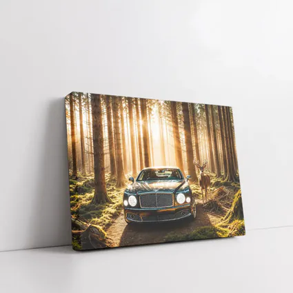 Bentley Mulsanne Parked Deep Forest Sunlight