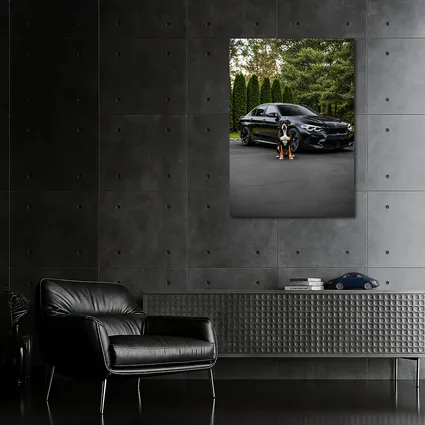 Black BMW M5 Sedan With Dog