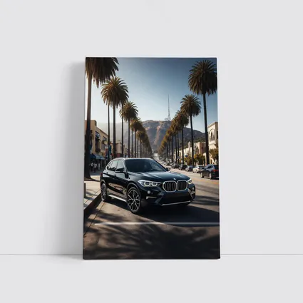 Black BMW X1 Hollywood Palm Tree Street