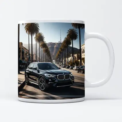 Black BMW X1 Hollywood Palm Tree Street